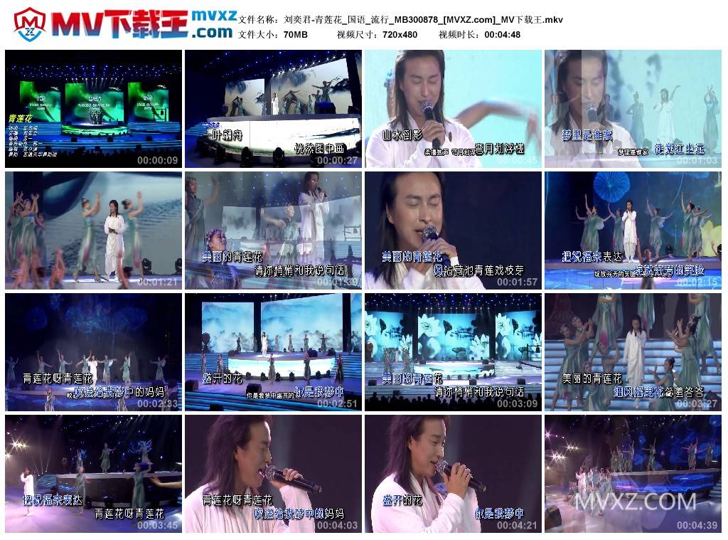 刘奕君-青莲花_国语_流行_MB300878